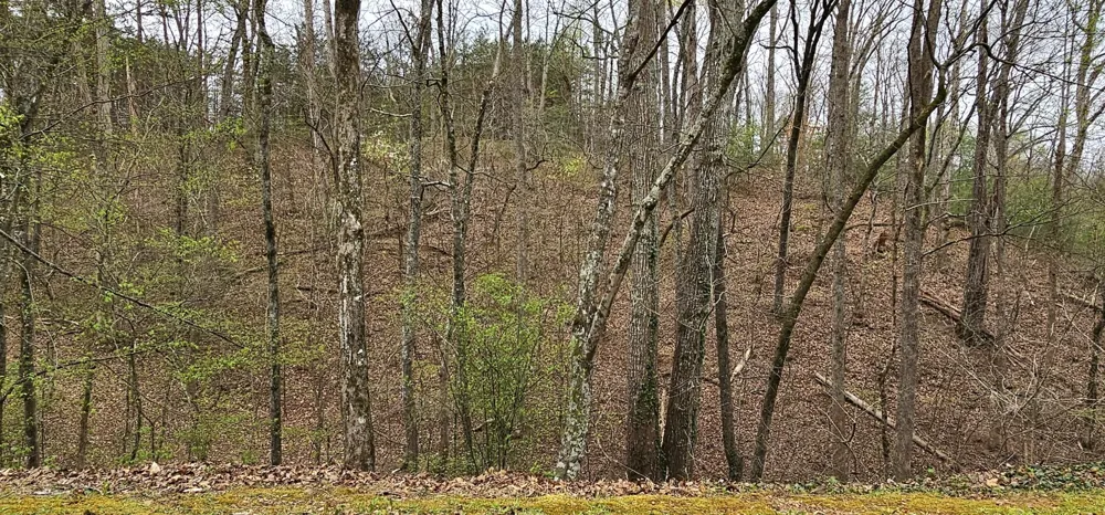 6870 Tennessee 360 Tellico Plains, TN 37385