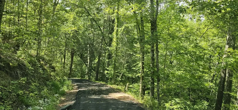 6870 Tennessee 360 Tellico Plains, TN 37385