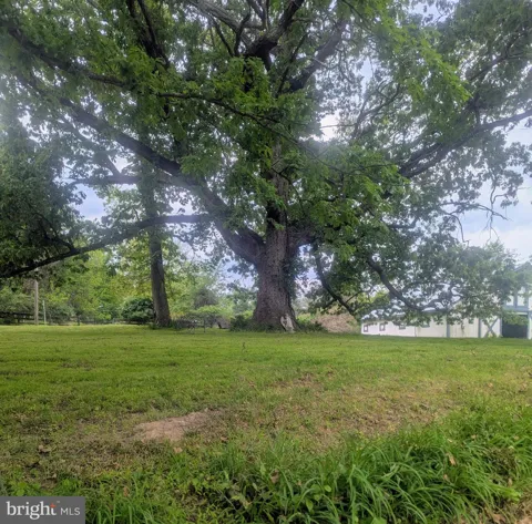 19647 TELEGRAPH SPRINGS ROAD