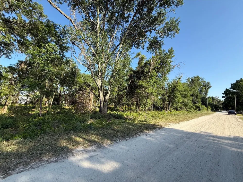 null OWENS DRIVE Zephyrhills, FL 33540