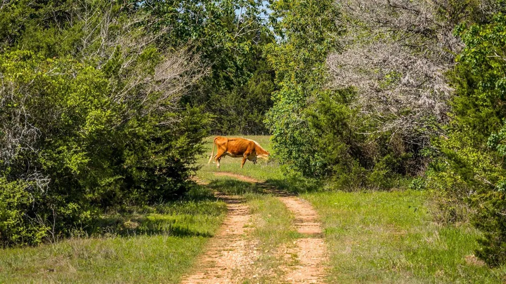 2062 Fm 1291 Fayetteville, TX 78940