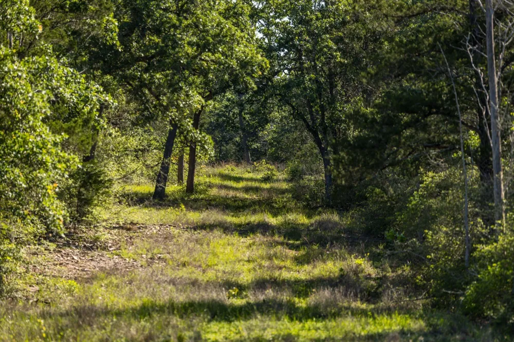 2062 Fm 1291 Fayetteville, TX 78940