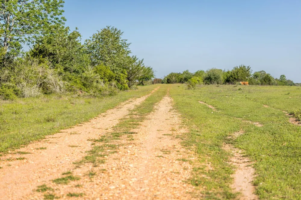 2062 Fm 1291 Fayetteville, TX 78940