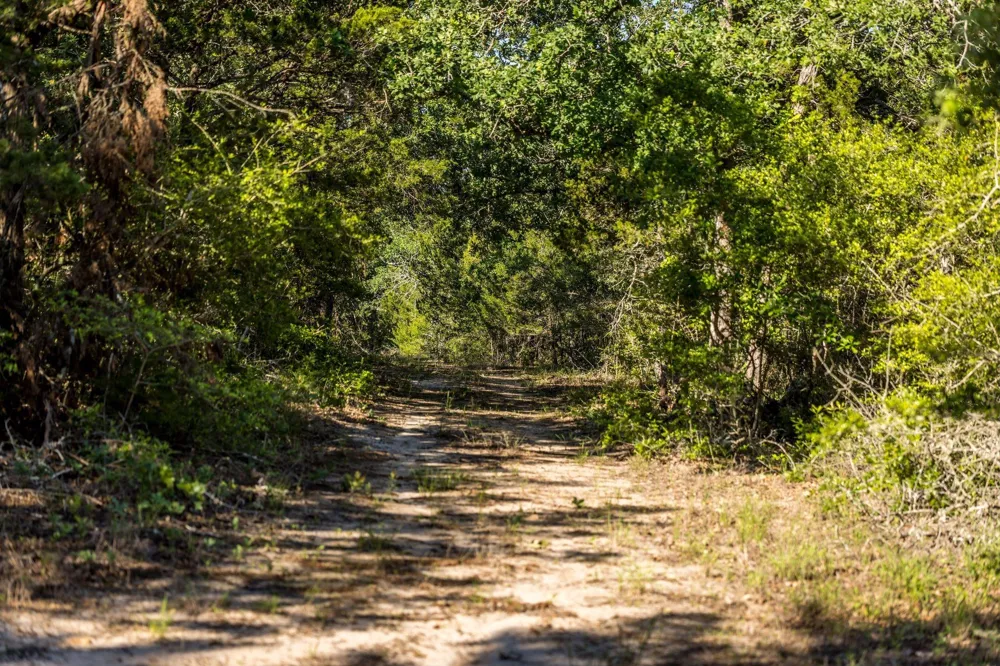 2062 Fm 1291 Fayetteville, TX 78940