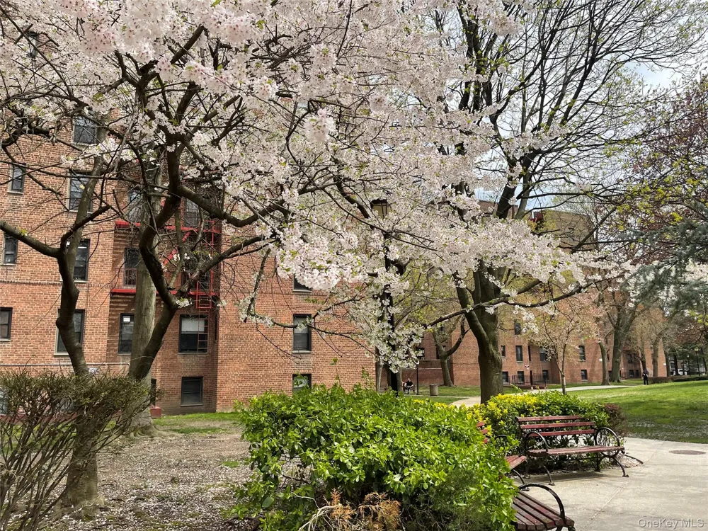150-29 72 ROAD #6 Flushing, NY 11367