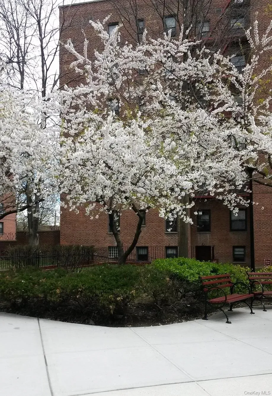 150-29 72 ROAD #6 Flushing, NY 11367