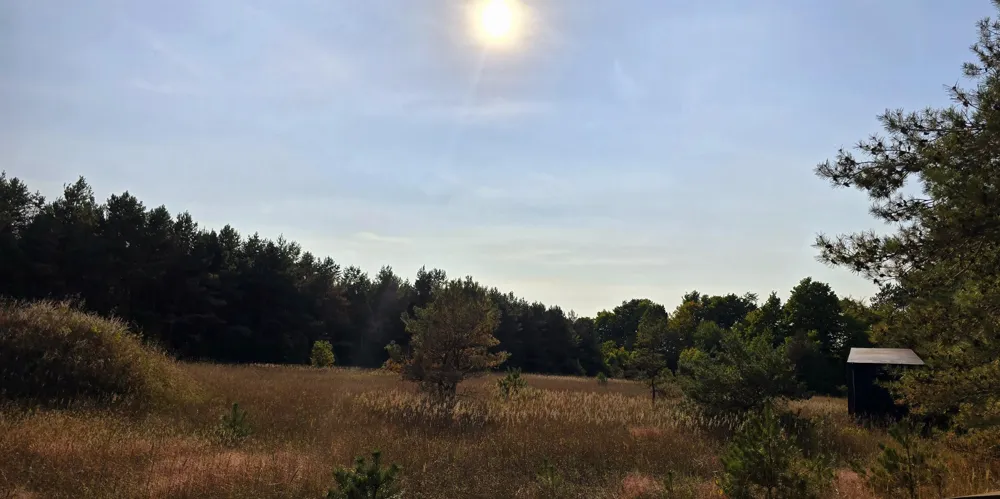8620 Francis Drive Star Township, MI 49730