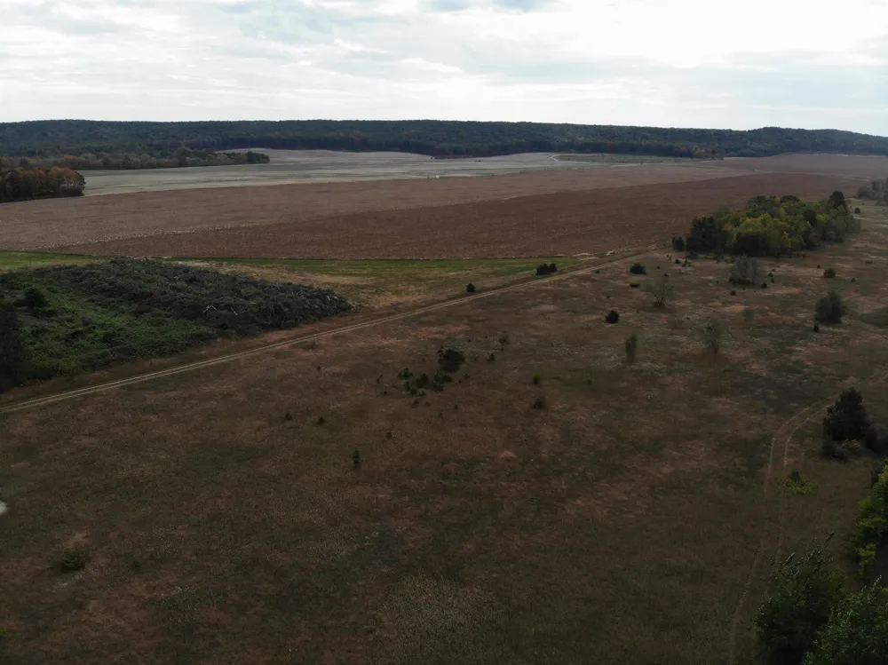 8620 Francis Drive Star Township, MI 49730
