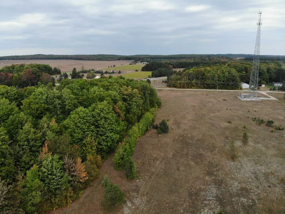 8620 Francis Drive Star Township, MI 49730