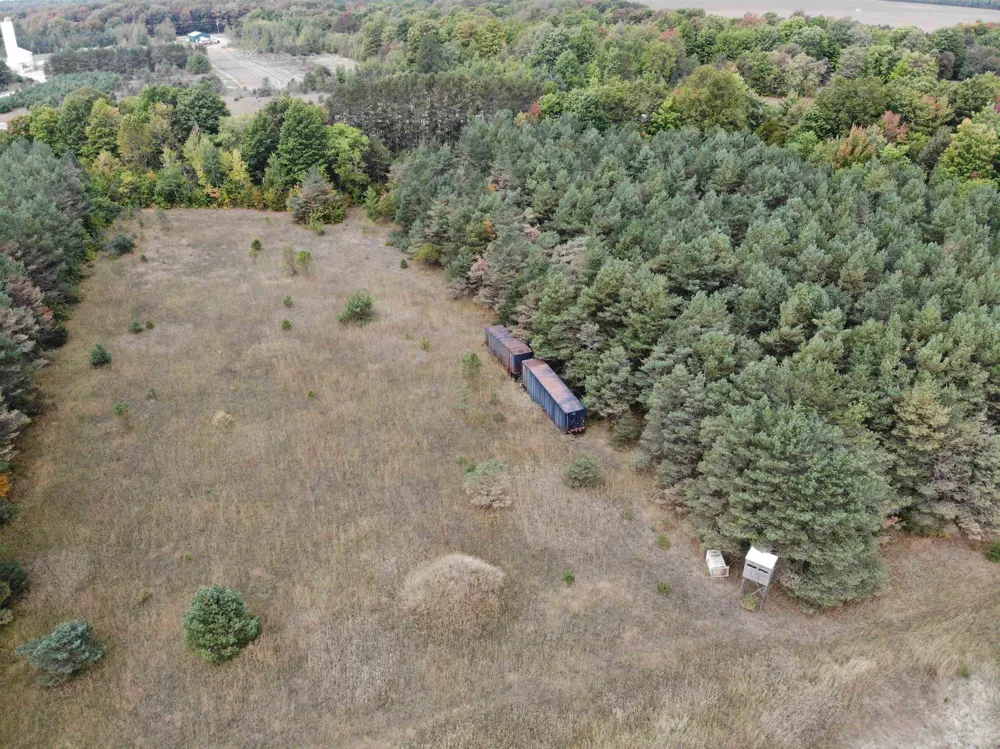 8620 Francis Drive Star Township, MI 49730