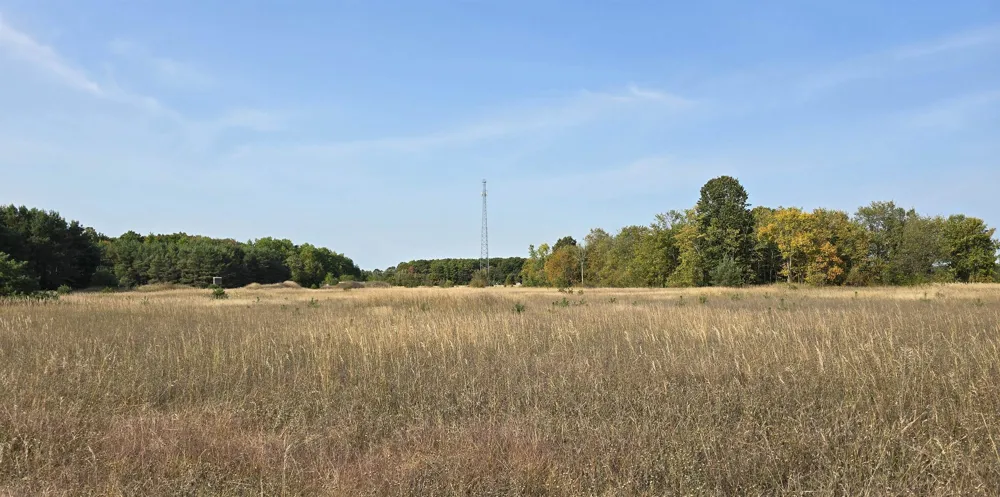 8620 Francis Drive Star Township, MI 49730