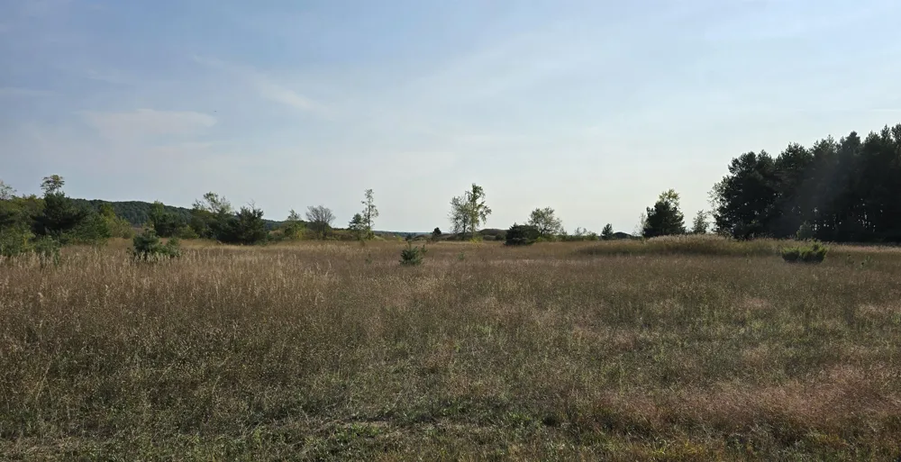 8620 Francis Drive Star Township, MI 49730