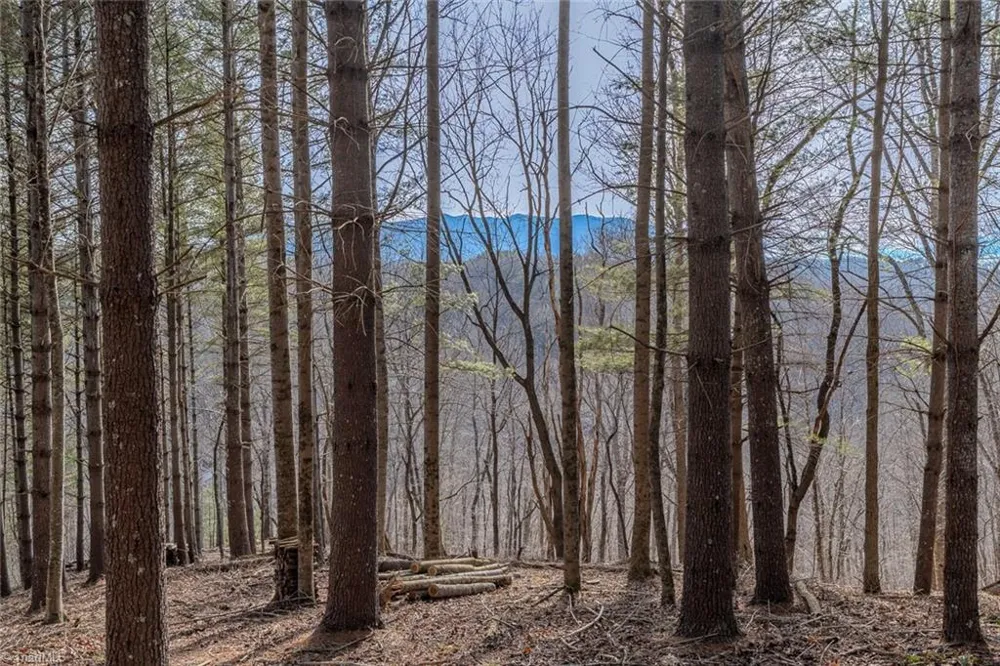 8 & 9 Haven Ridge Lansing, NC 28643