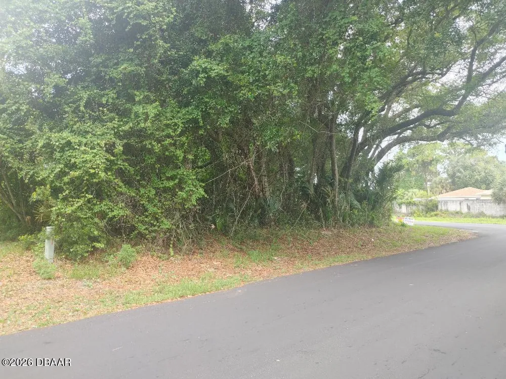 Fern Palm Drive Edgewater, FL 32141