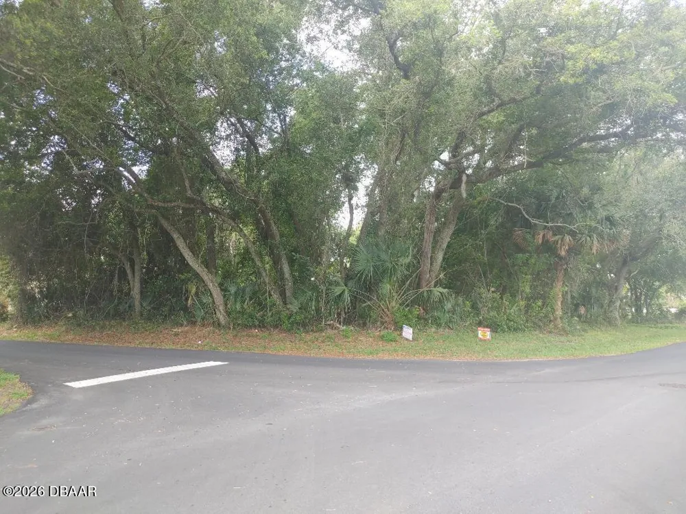 Fern Palm Drive Edgewater, FL 32141