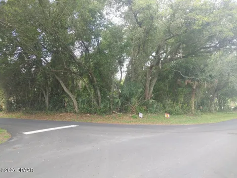 Fern Palm Drive