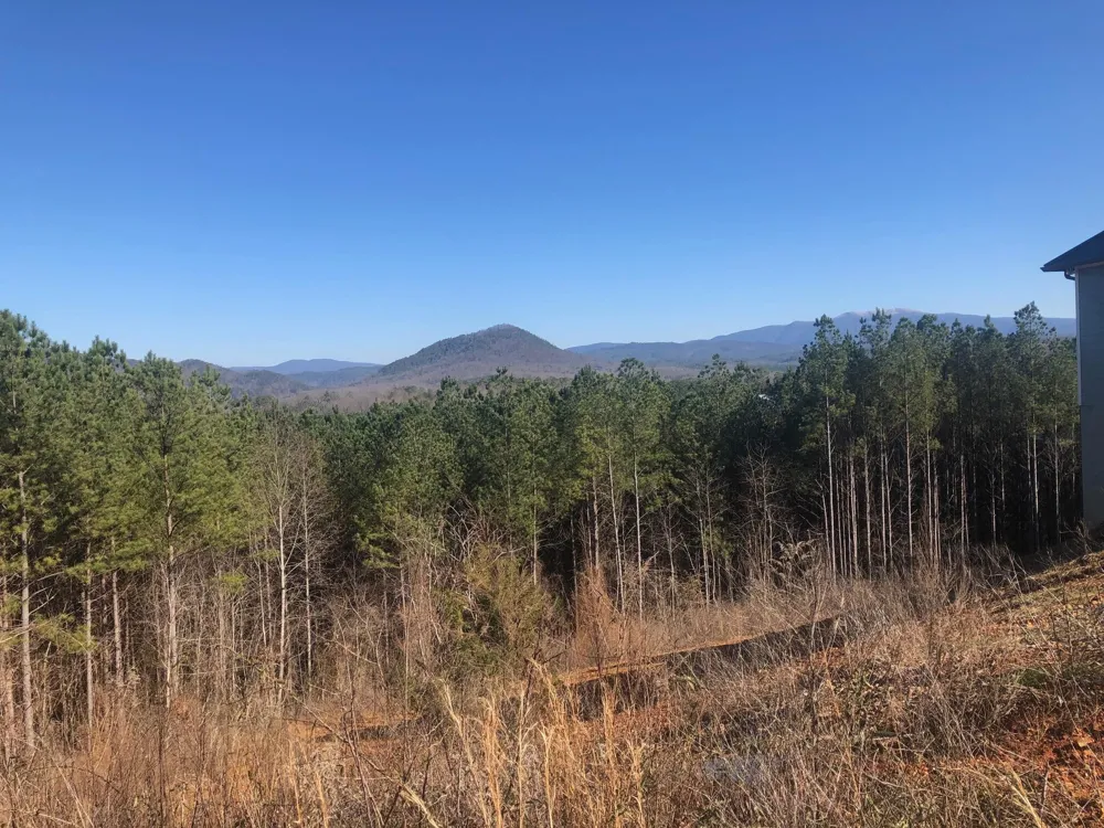136 Cherokee Ridge Drive Ocoee, TN 37361