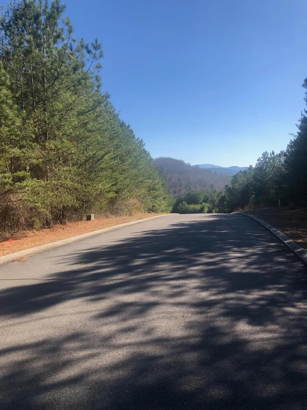 136 Cherokee Ridge Drive Ocoee, TN 37361