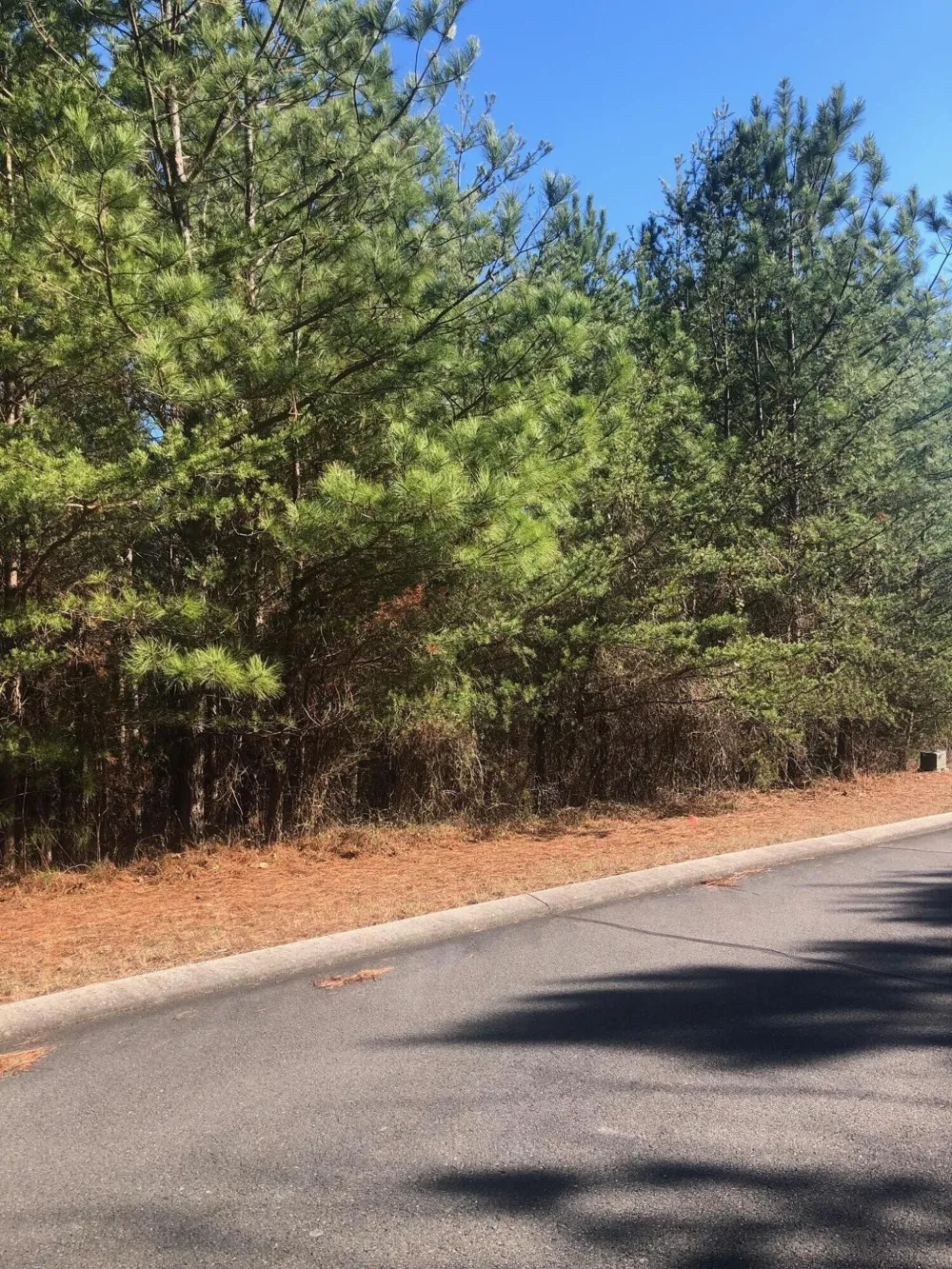 136 Cherokee Ridge Drive Ocoee, TN 37361