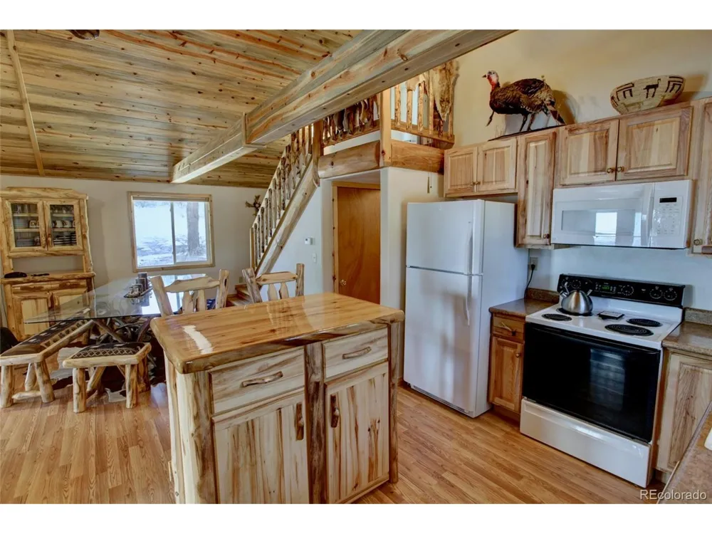530 Red Feather Road Cotopaxi, CO 81223