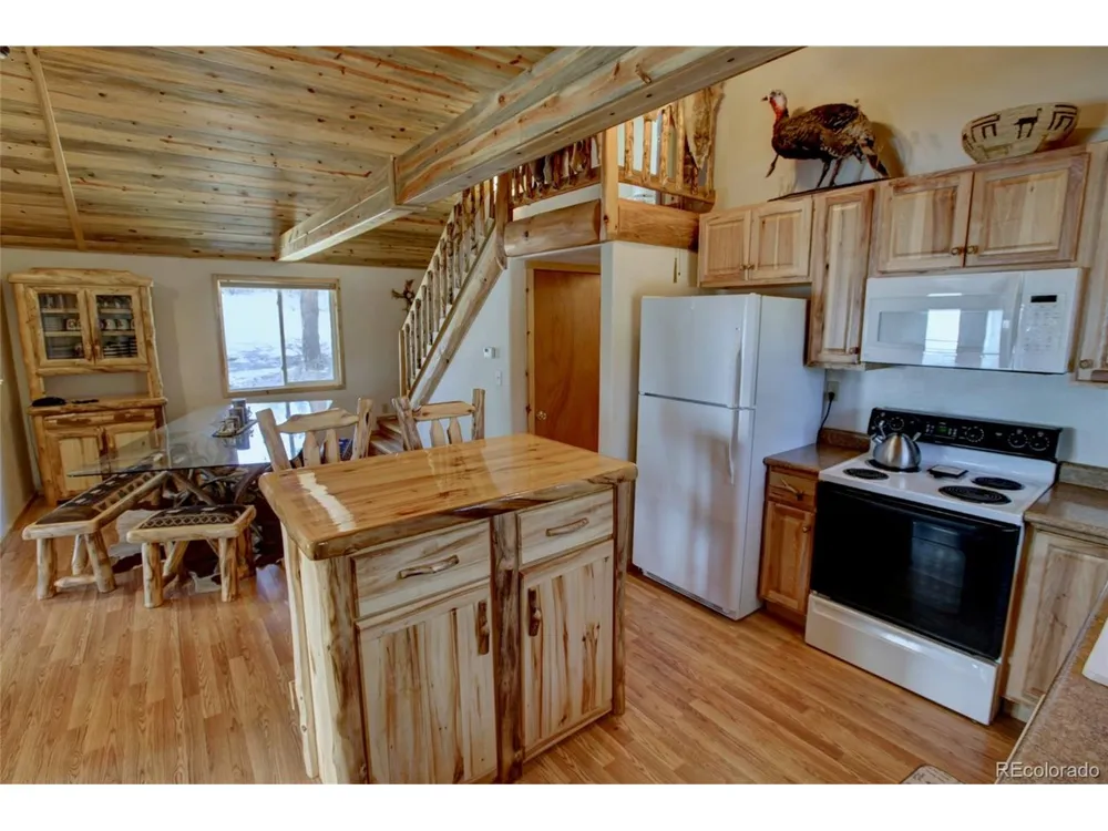 530 Red Feather Road Cotopaxi, CO 81223