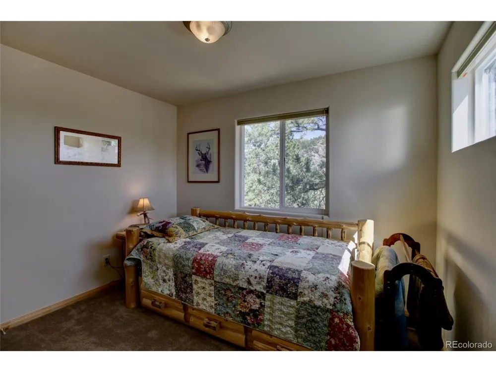 530 Red Feather Road Cotopaxi, CO 81223