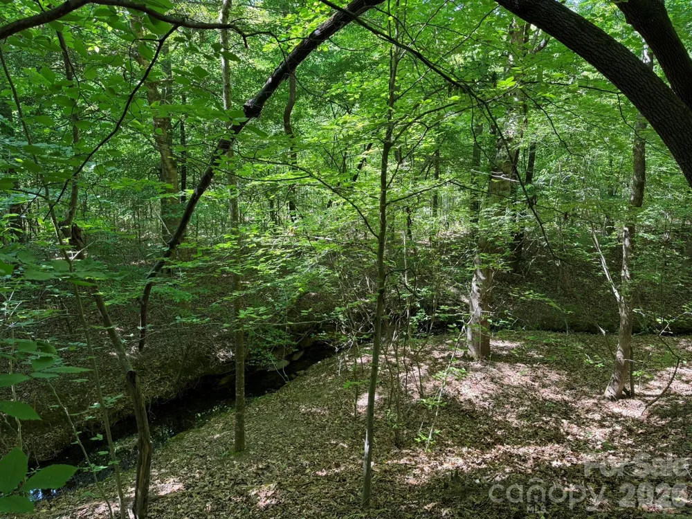 382 Alexis High Shoals Road Dallas, NC 28034