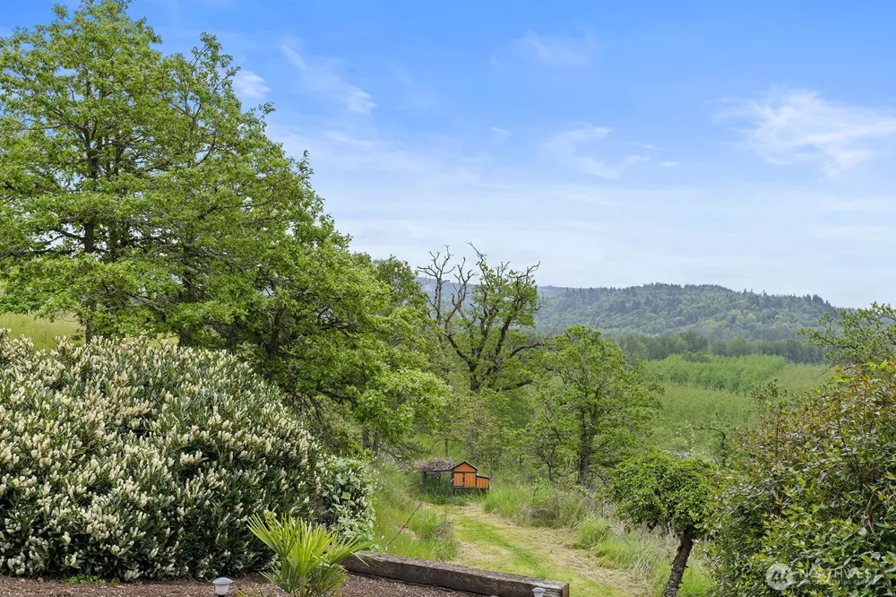 72 Bluff Road Kelso, WA 98626