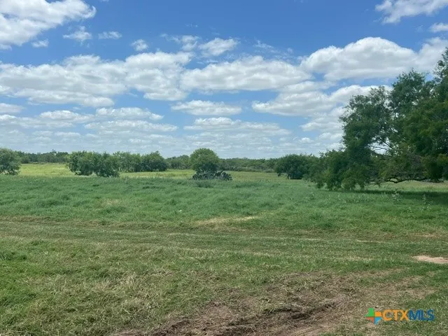4612 County Road 117 Floresville, TX 78114