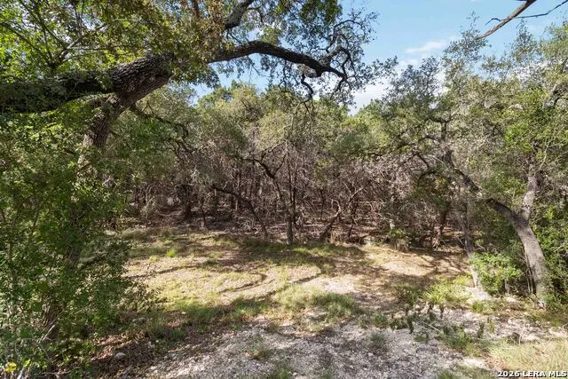 221 APACHERIA PASS W Comfort, TX 78013