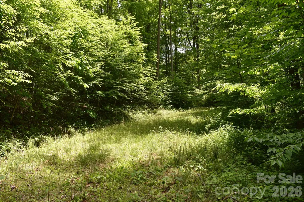 Lot 18 Covered Bridge Trail #18 Waynesville, NC 28785