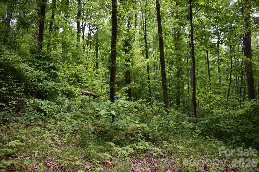 Lot 18 Covered Bridge Trail #18 Waynesville, NC 28785