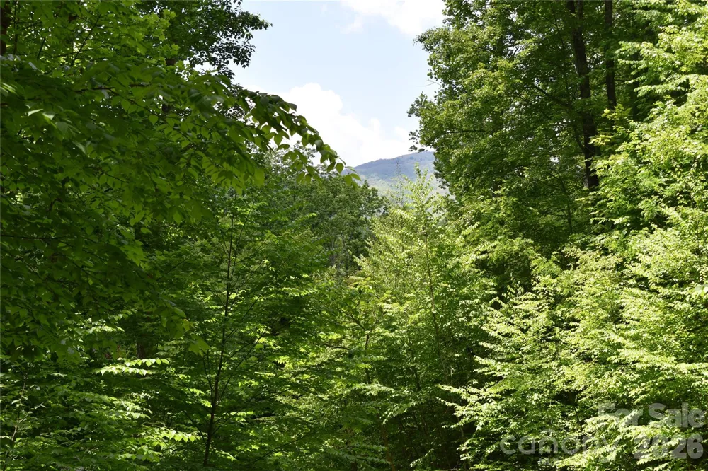 Lot 18 Covered Bridge Trail #18 Waynesville, NC 28785