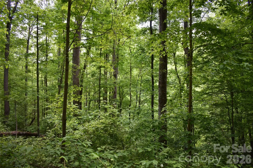 Lot 18 Covered Bridge Trail #18 Waynesville, NC 28785