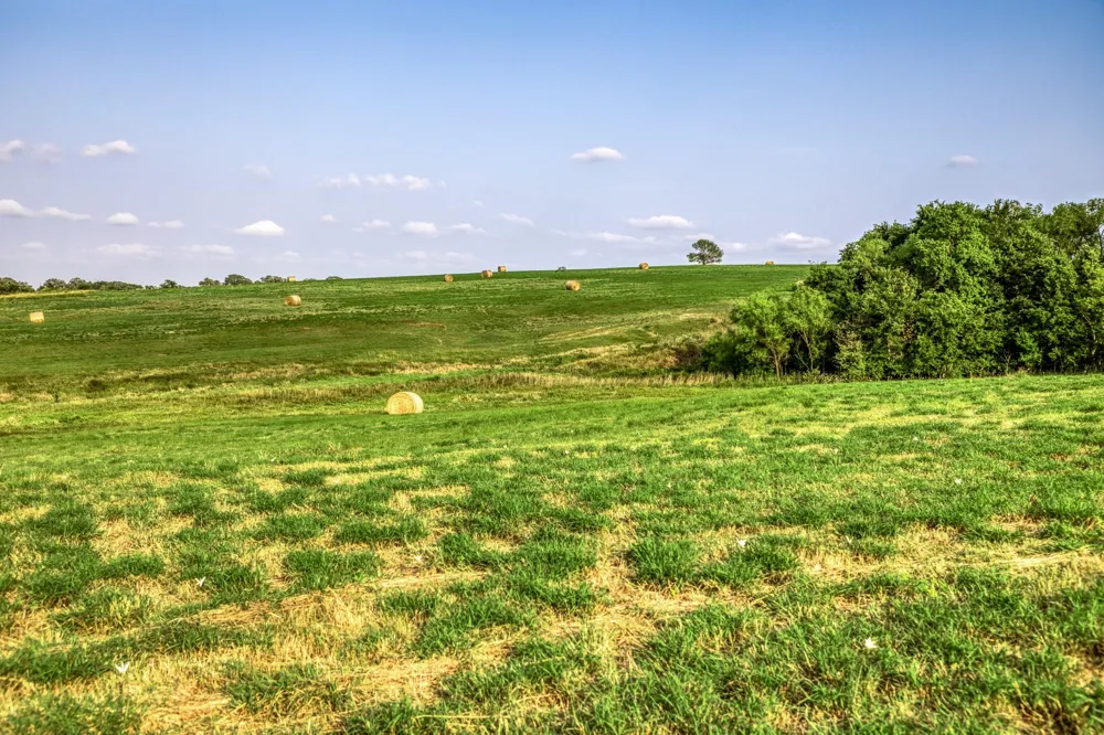 3575 County Road 271 Moulton, TX 77975