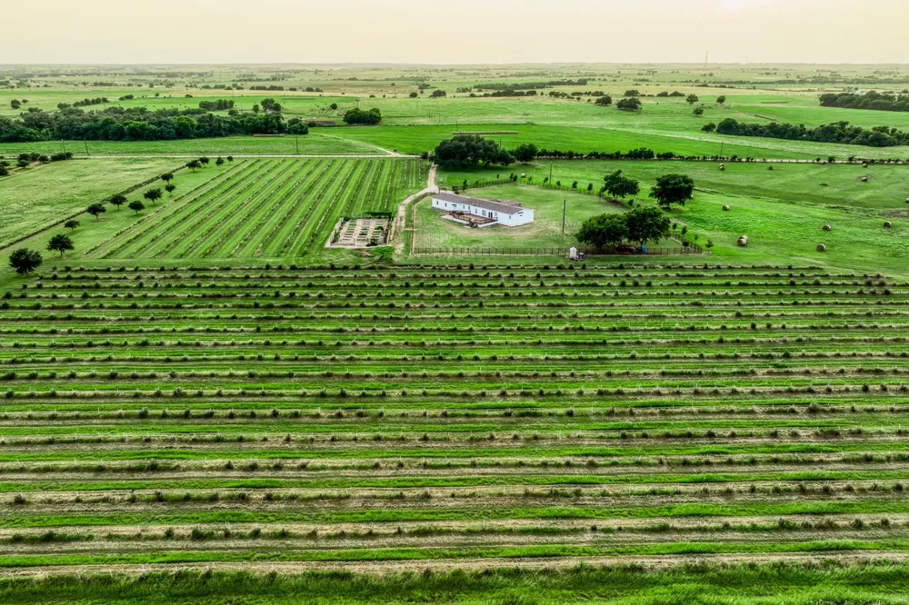 3575 County Road 271 Moulton, TX 77975