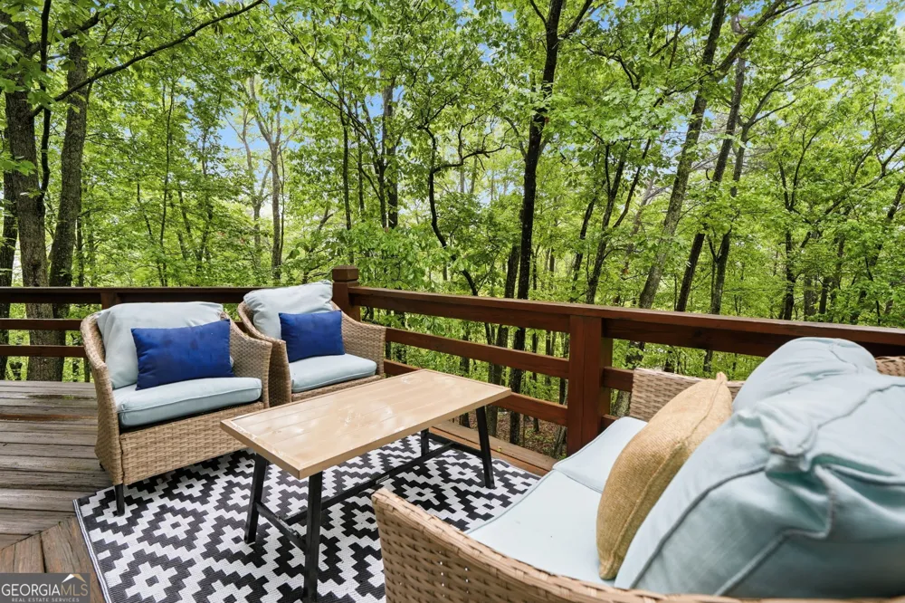 22 Evening Shade TRL Mineral Bluff, GA 30559