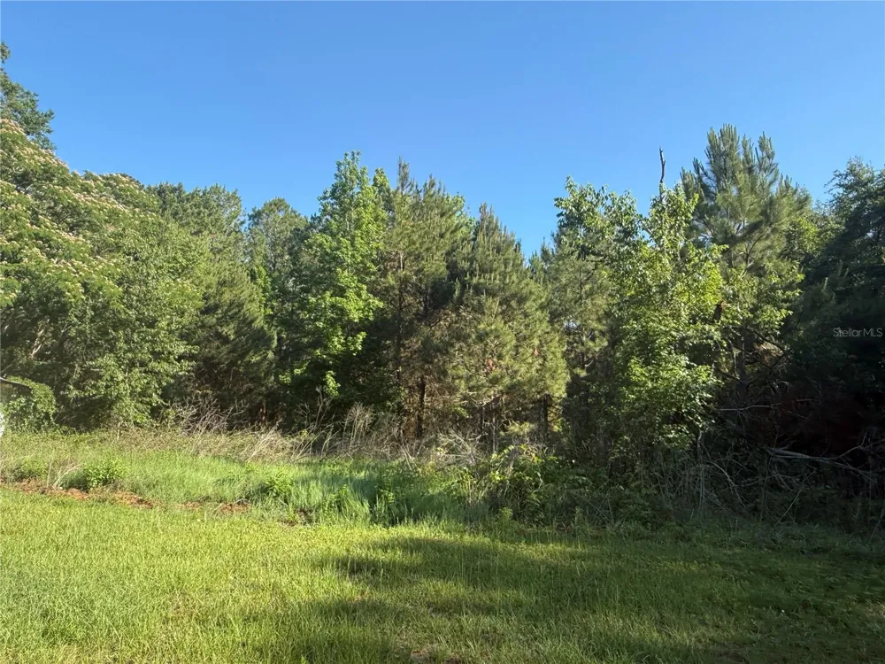 9845 NW 160TH STREET Reddick, FL 32686