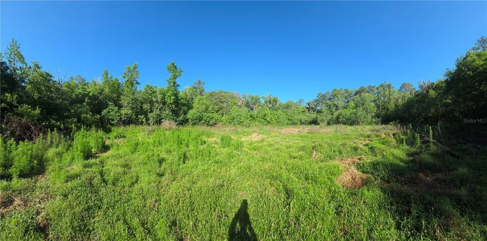 9845 NW 160TH STREET Reddick, FL 32686