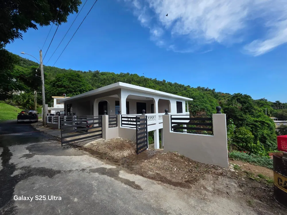 290 CALLE CEIBA Patillas, PR 00723