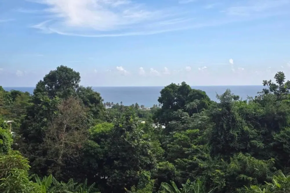 290 CALLE CEIBA Patillas, PR 00723