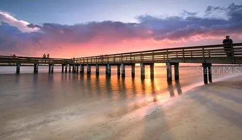 67 ALBERTA AVENUE Ponce Inlet, FL 32127