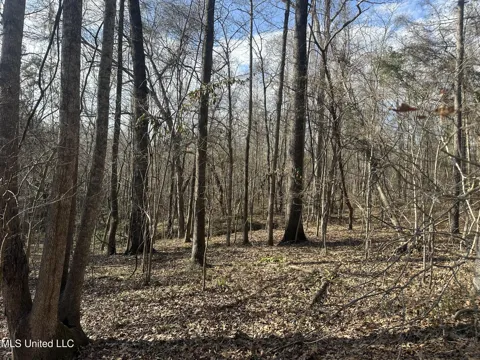 Dunbar Road