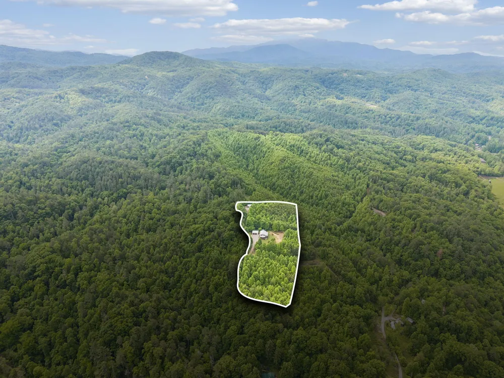 161 Willie Shell Road Reliance, TN 37369