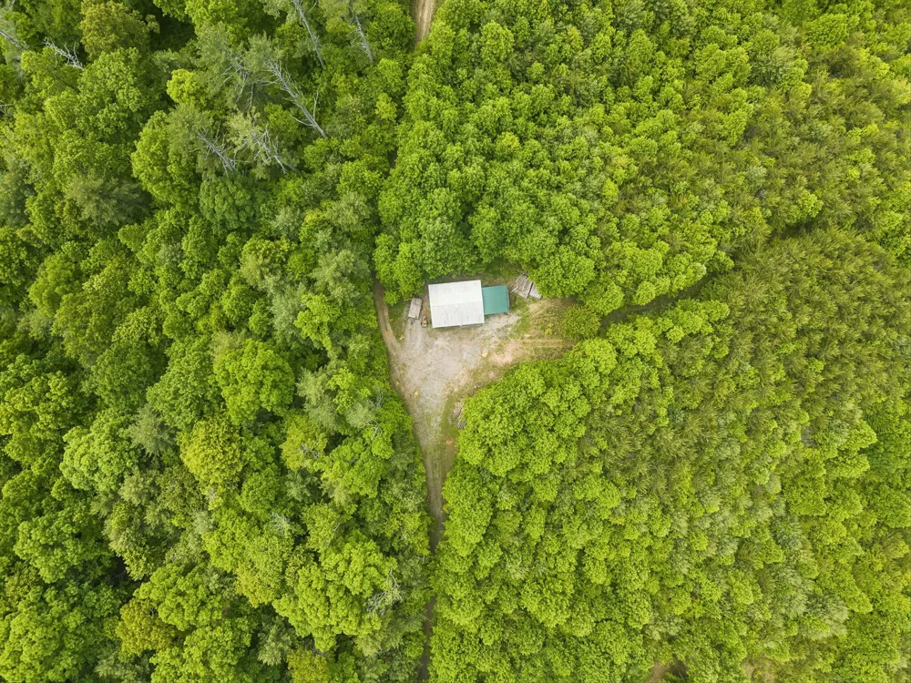 161 Willie Shell Road Reliance, TN 37369