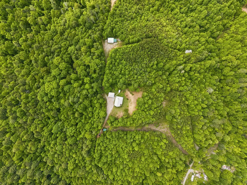 161 Willie Shell Road Reliance, TN 37369