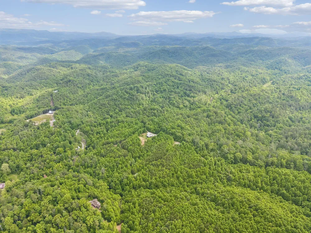 161 Willie Shell Road Reliance, TN 37369