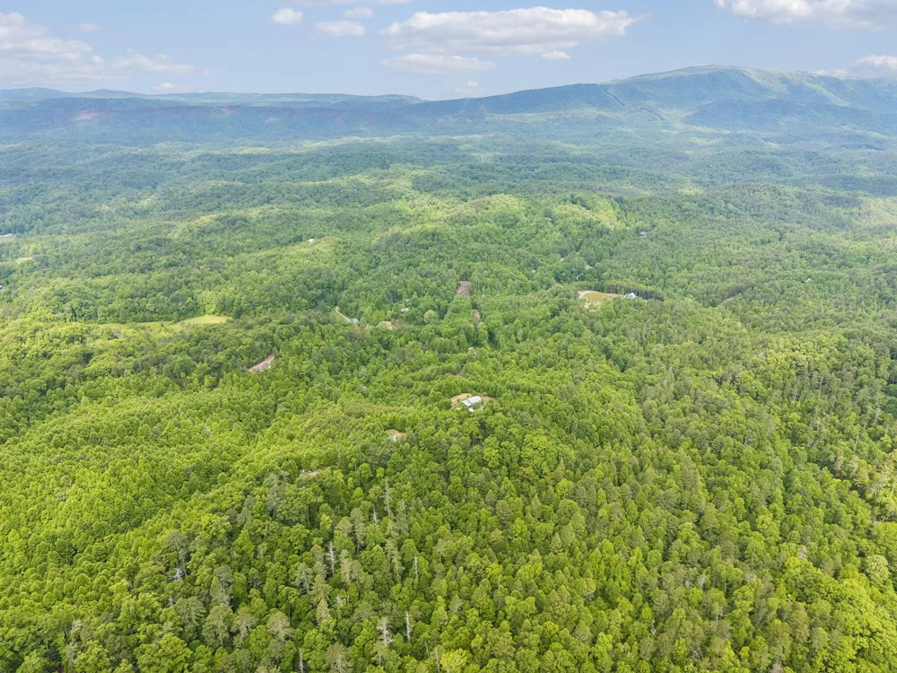 161 Willie Shell Road Reliance, TN 37369