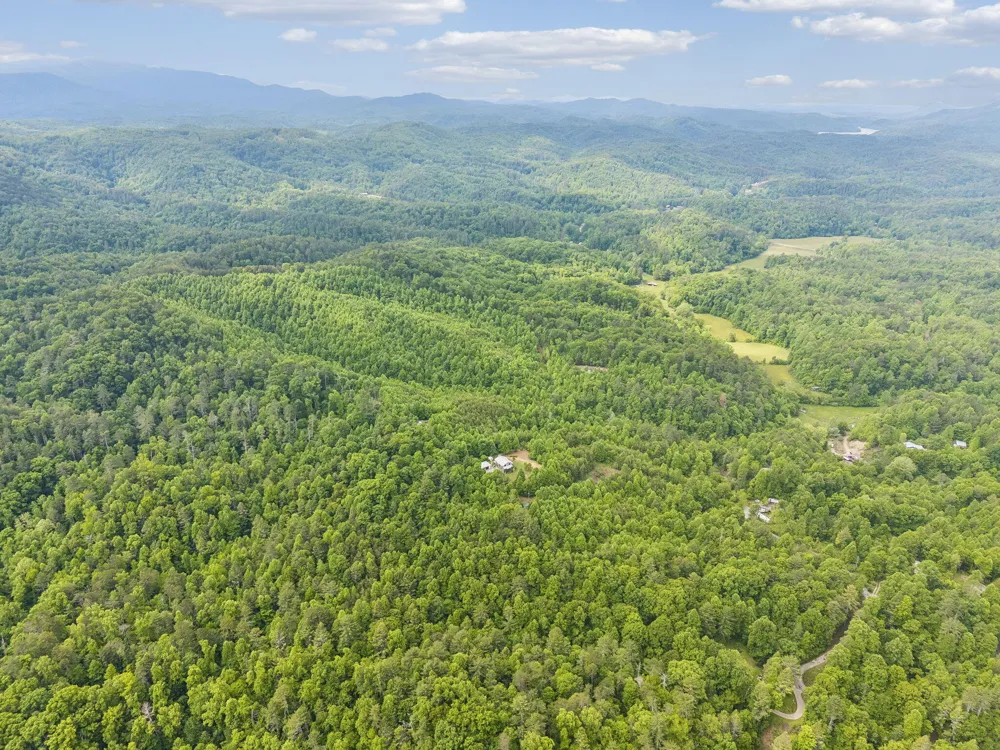 161 Willie Shell Road Reliance, TN 37369