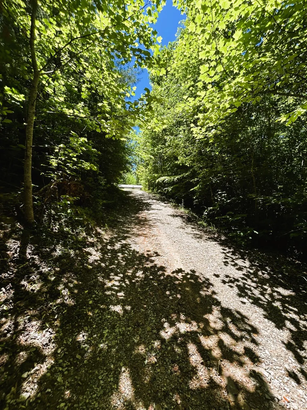 161 Willie Shell Road Reliance, TN 37369